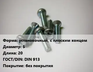 Винт установочный, с плоским концом 5х20 DIN 913 без покрытия